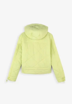 Scalpers Jackets And Vests<Padded Hooded Jacket
