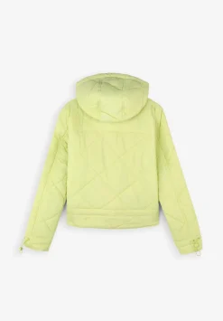 Scalpers Jackets And Vests<Padded Hooded Jacket